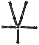 16.2 Junior Camlock Restraints